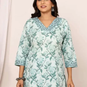sanganeri handblock top in soft pistachio green
